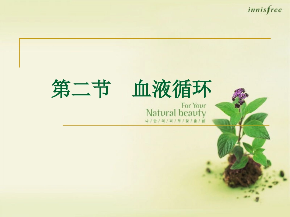 第二节血液循环_第1页