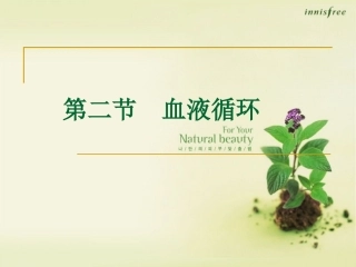 第二节血液循环