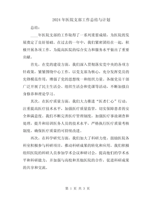 2024年医院支部工作总结与计划