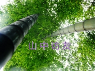 1山中访友课件