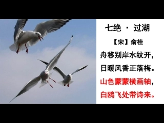 21_老人与海鸥(很好用)