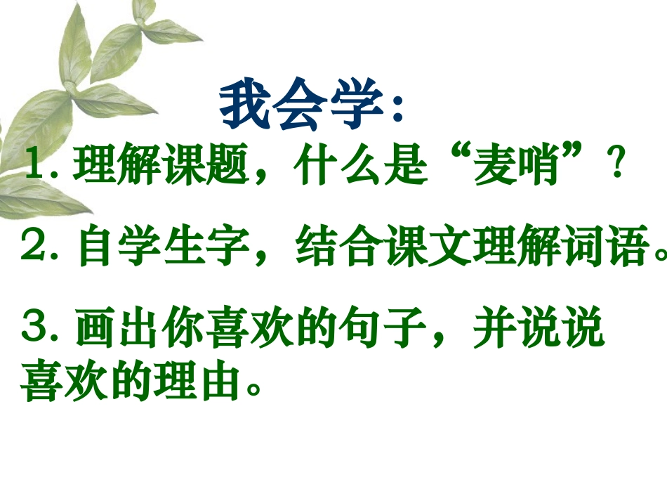 24麦哨课件_第2页