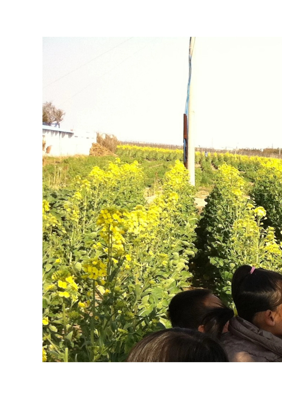 寻找春天的脚步_第3页