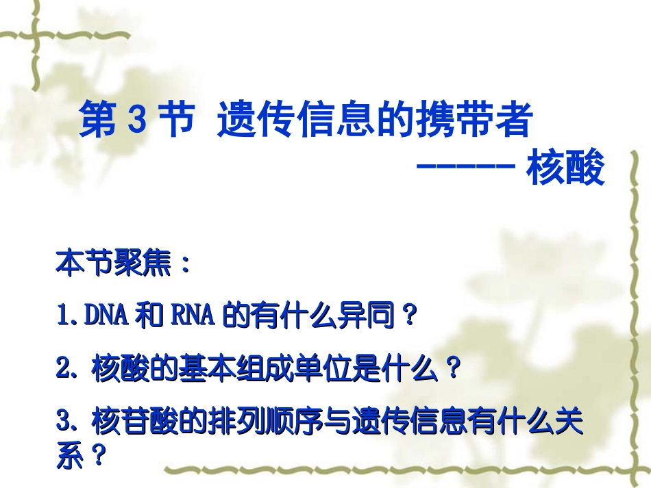 高中生物-核酸_第1页