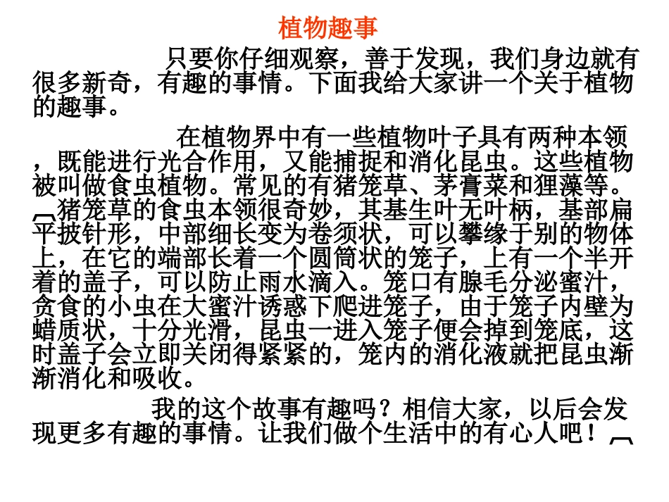 四年语文上作文_第3页