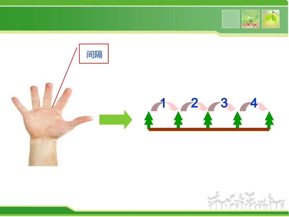 植树问题 (5)_第2页