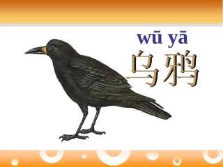 19乌鸦喝水(人教版)2