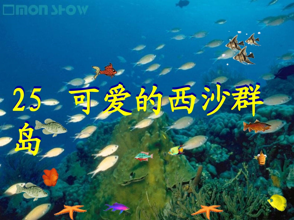 25可爱的西沙群岛_第1页