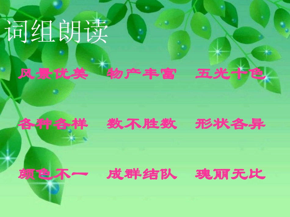 25可爱的西沙群岛_第3页