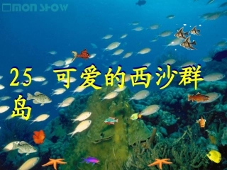 25可爱的西沙群岛