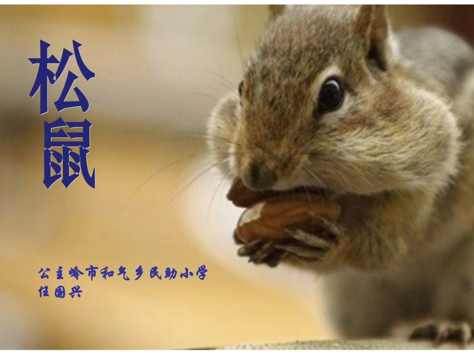 《松鼠》 (2)_第2页