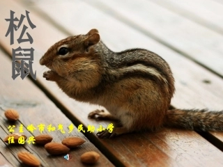 《松鼠》 (2)