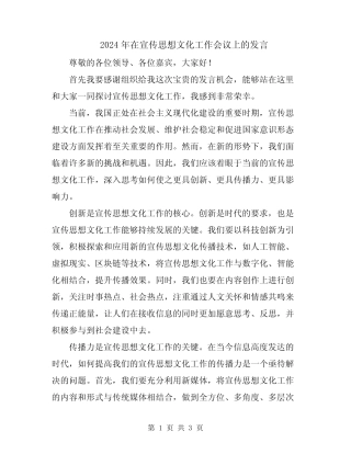 2024年在宣传思想文化工作会议上的发言