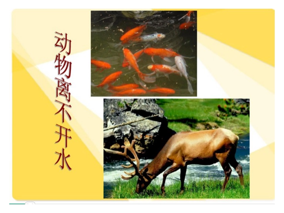 69生命的甘露_第3页