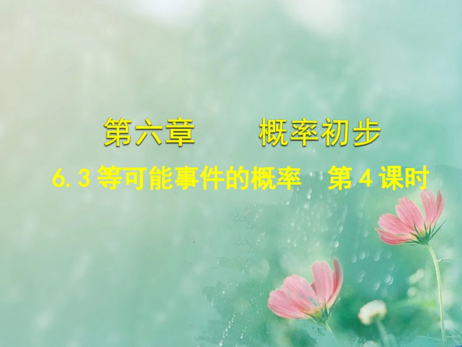 63等可能事件的概率第4课时_第1页