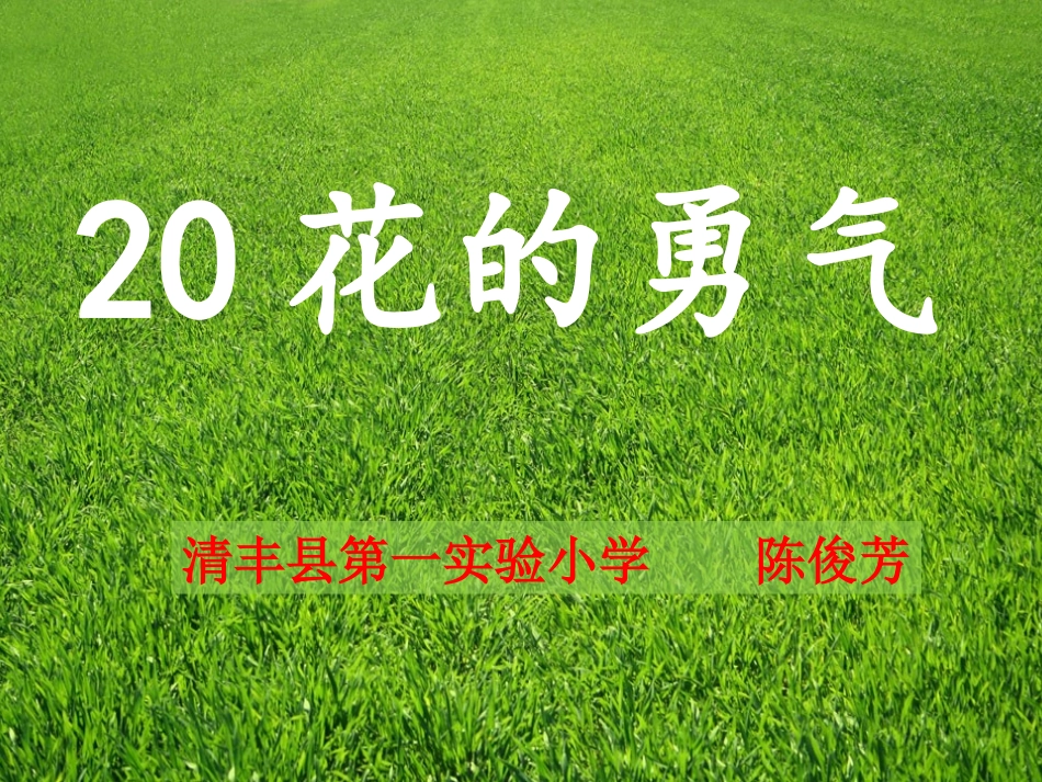 20花的勇气 (6)_第1页