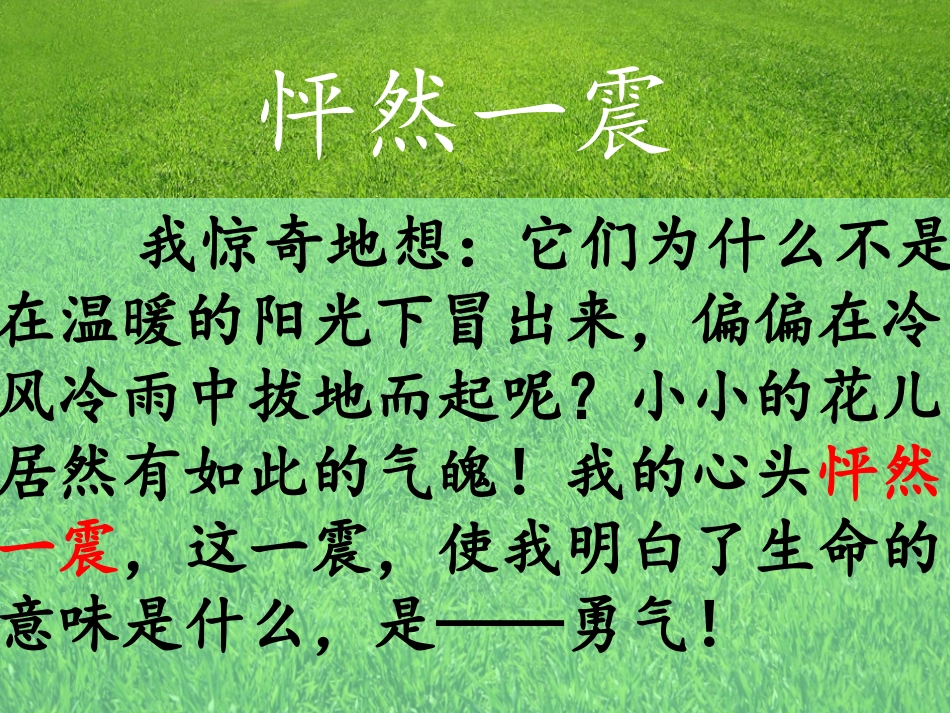 20花的勇气 (6)_第3页