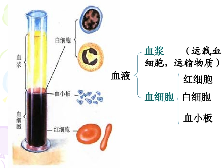 输血与血型2_第2页