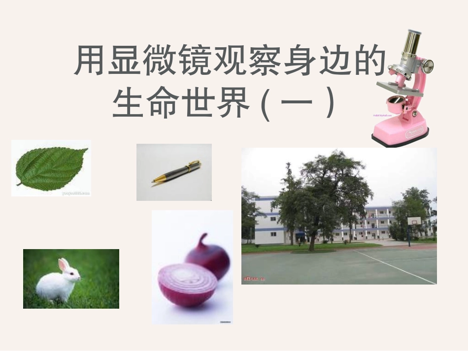 5用显微镜观察身边的生命世界（一）课件2_第1页