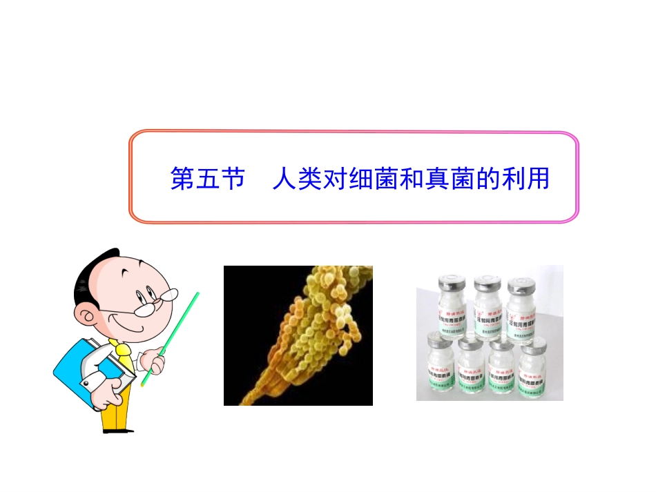 第五节人类对细菌和真菌的利用 (2)_第1页