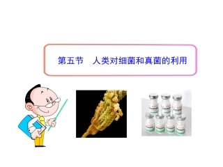 第五节人类对细菌和真菌的利用 (2)