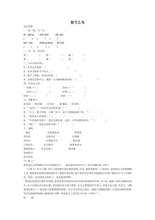 惊弓之鸟练习题