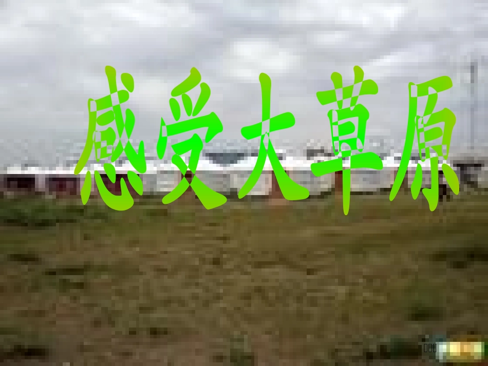 美丽的大草原_第1页