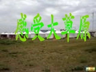 美丽的大草原
