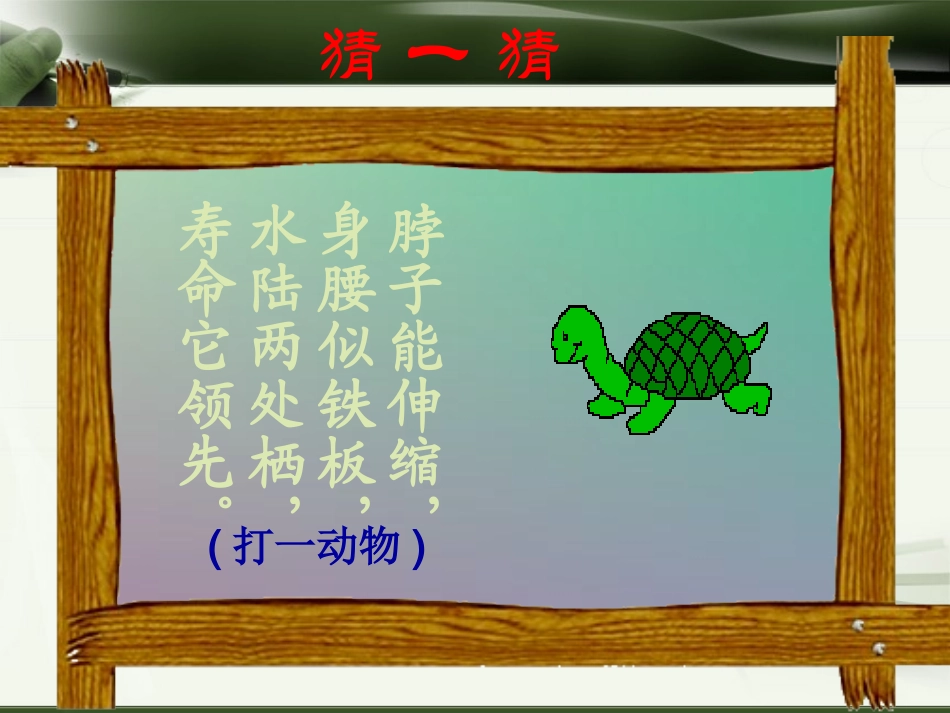 犟龟优秀课件_第2页