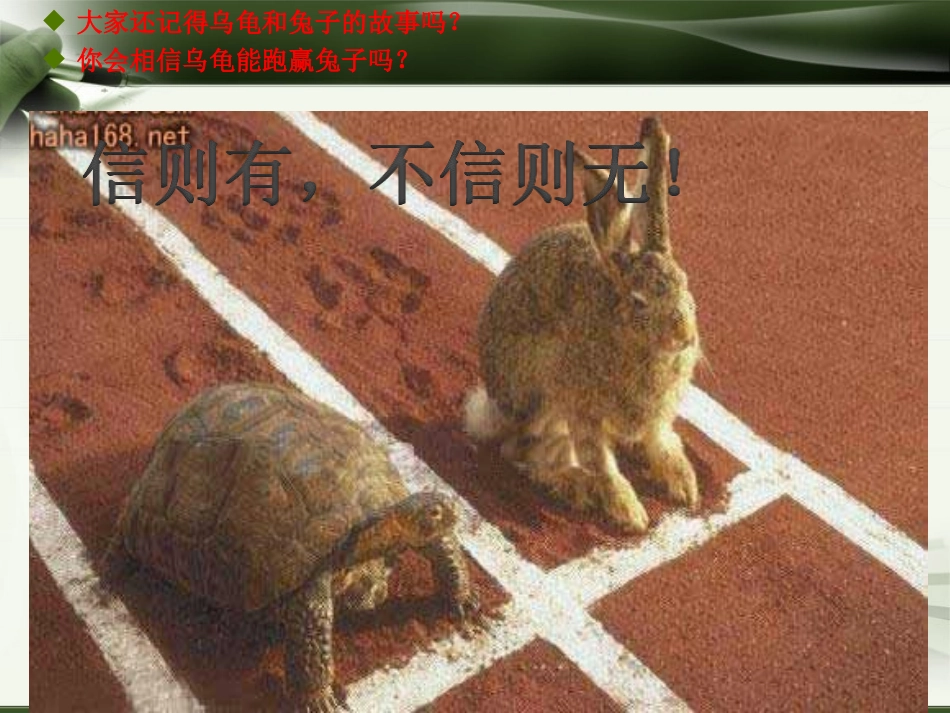 犟龟优秀课件_第3页