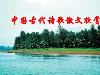 湘夫人(课件)