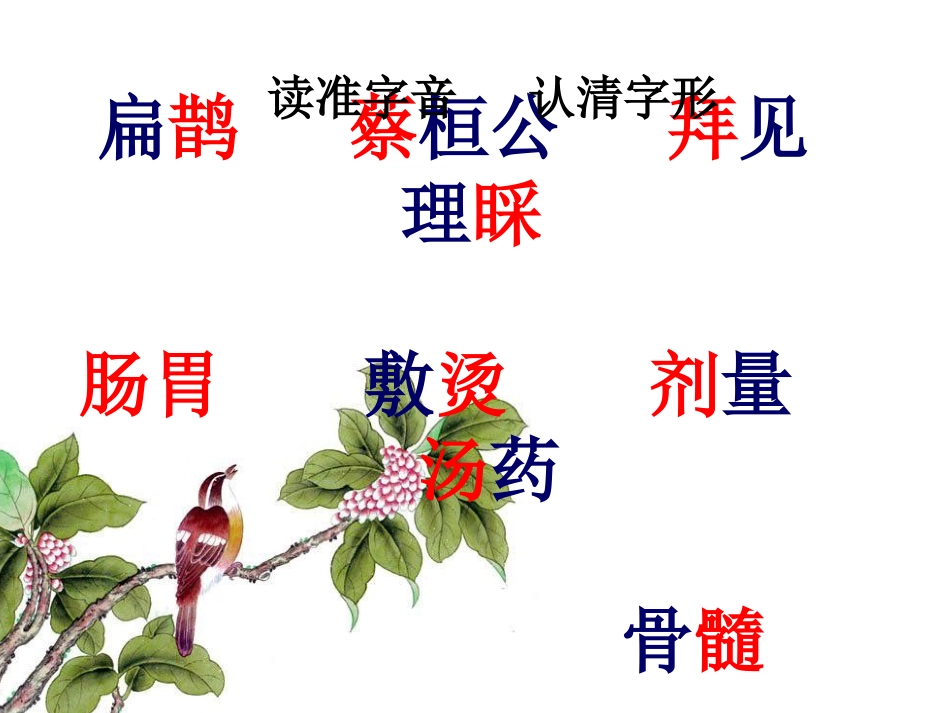 29扁鹊治病1_第3页