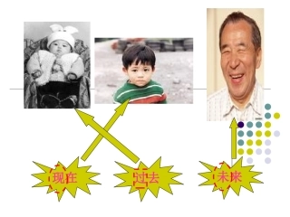 第一板块汉字家园1—4