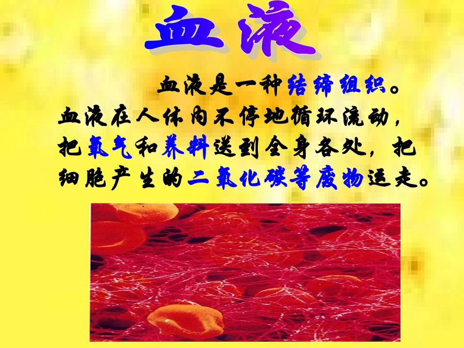 第一节血液和血型_第3页