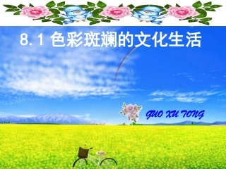 81色彩斑斓的文化生活(修改版)