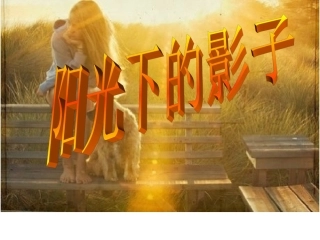 阳光下的影子