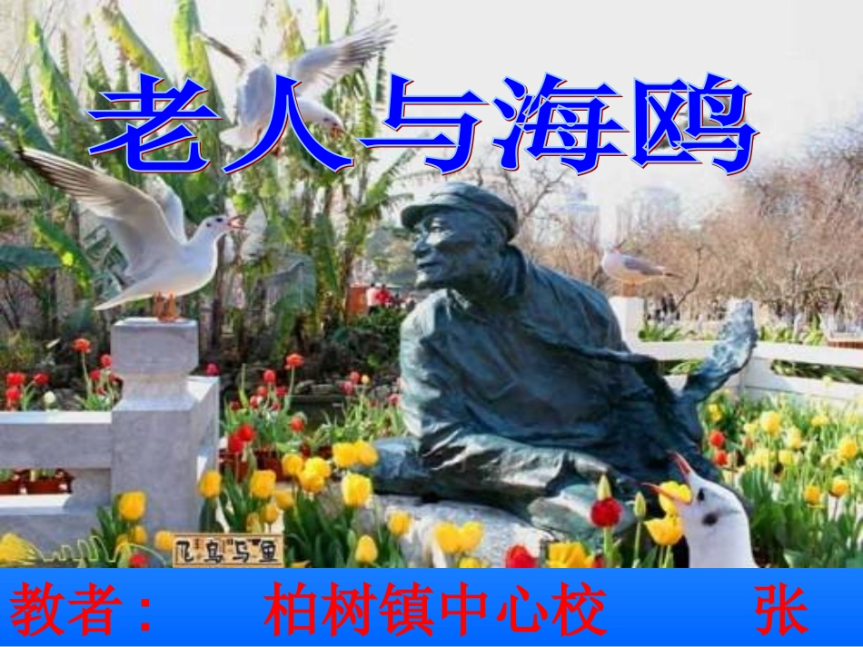 老人与海鸥 (2)_第2页