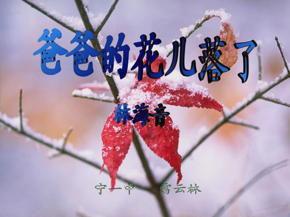 爸爸的花儿落了_第1页