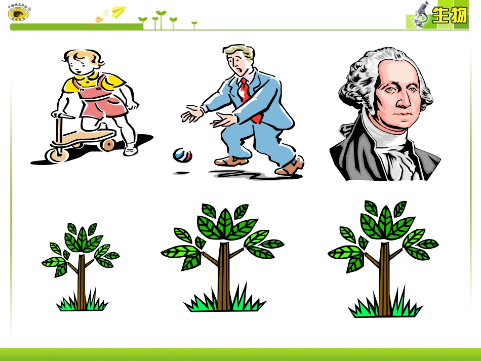 第1节细胞的增殖_第3页