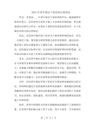 2024年青年基层干部培训心得体会