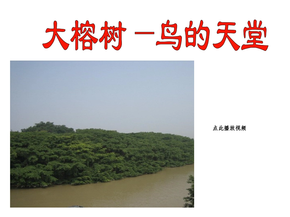 3_鸟的天堂PPT精品课件_第3页