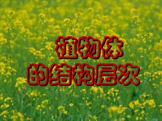 第二节植物体的结构层次2