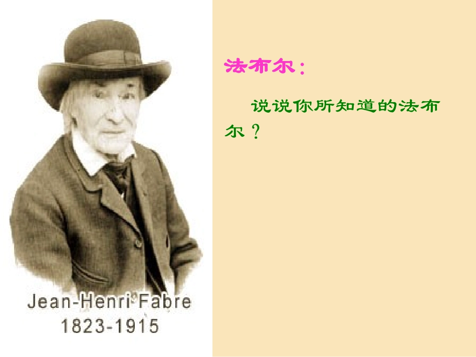 《绿色蝈蝈》_第3页