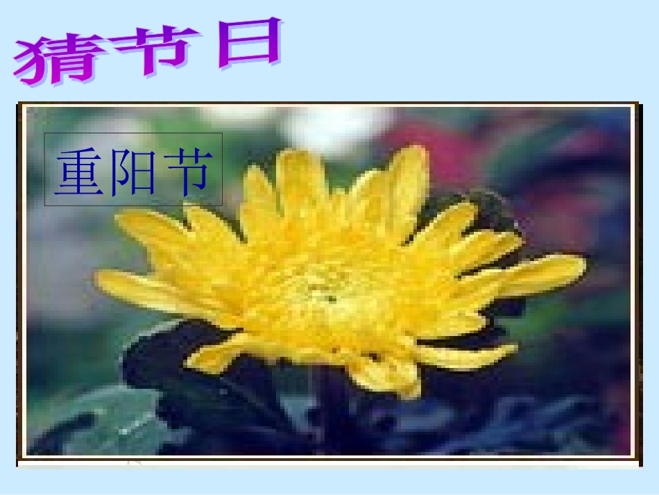 端午的鸭蛋改_第1页