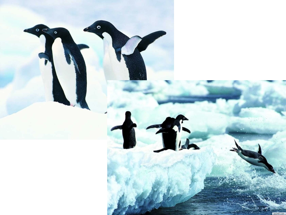 24全球气候变化_第3页