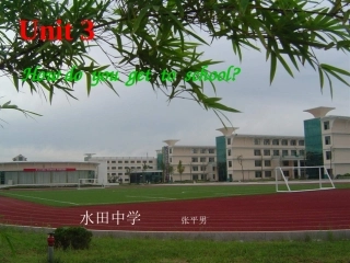 水田中学张平男