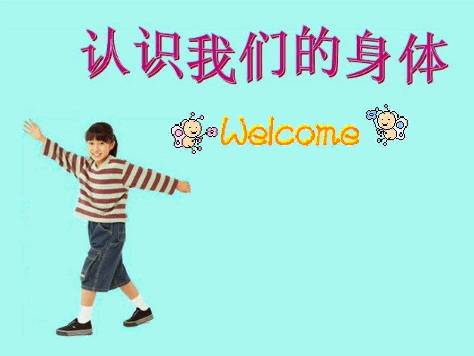 382人体和动物体的组成_第1页