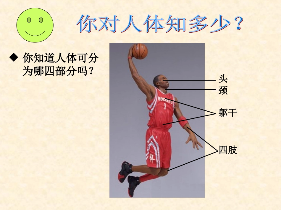 382人体和动物体的组成_第2页