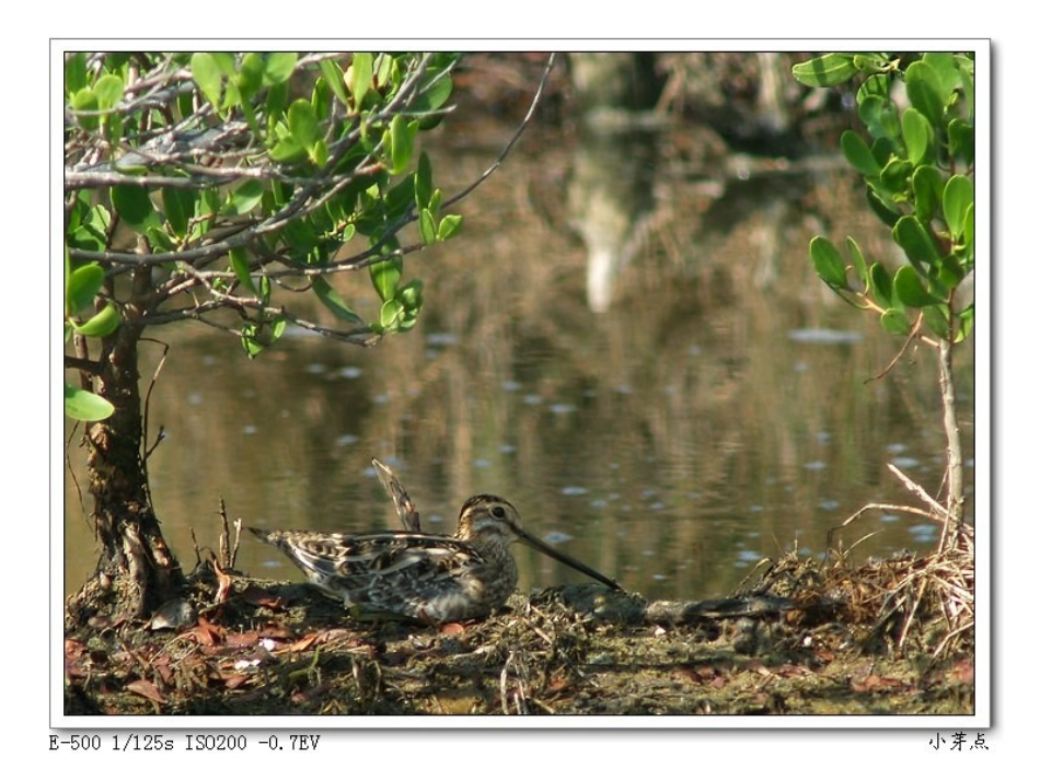 彩色的非洲4_第2页