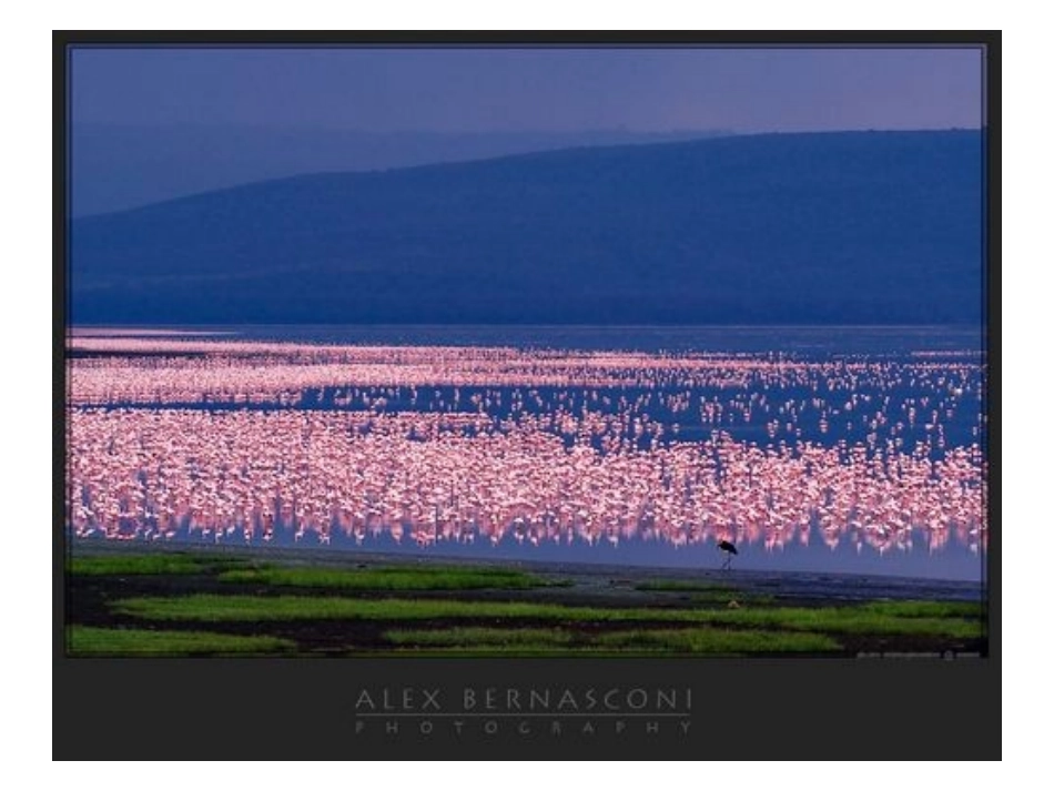 彩色的非洲4_第3页